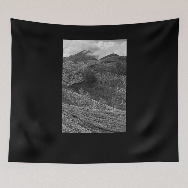 Item preview,  SKN 9117 Towards The Peak. B/W designed and sold by Sunil Kapadia.