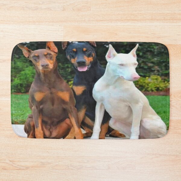 Aperçu de l'œuvre Doberman pinscher, doberman rouge et doberman blanc créée et vendue par harrisandre363.