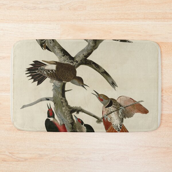Item preview, 416 I. Hairy Woodpecker 2. Red bellied Woodpecker 3. Red shafted Woodpecker 4. Lewis' Woodpecker 5. Red breasted Woodpecker designed and sold by Bird-Lore.