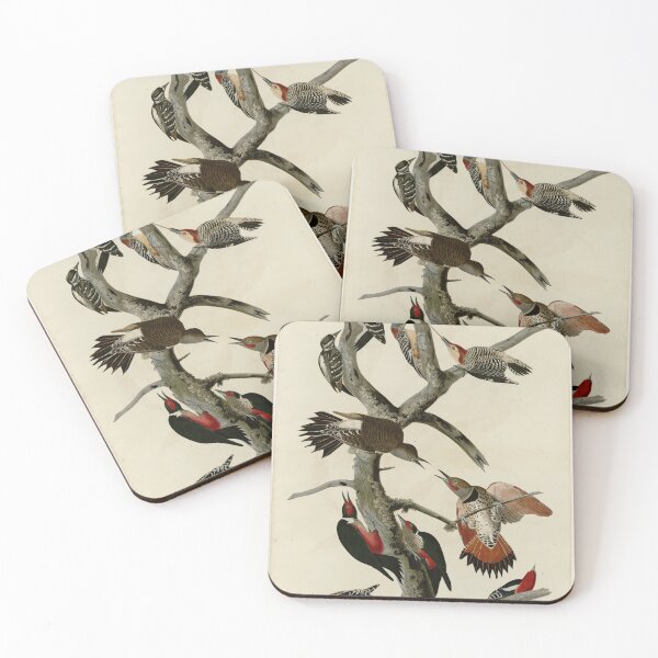Item preview, 416 I. Hairy Woodpecker 2. Red bellied Woodpecker 3. Red shafted Woodpecker 4. Lewis' Woodpecker 5. Red breasted Woodpecker designed and sold by Bird-Lore.