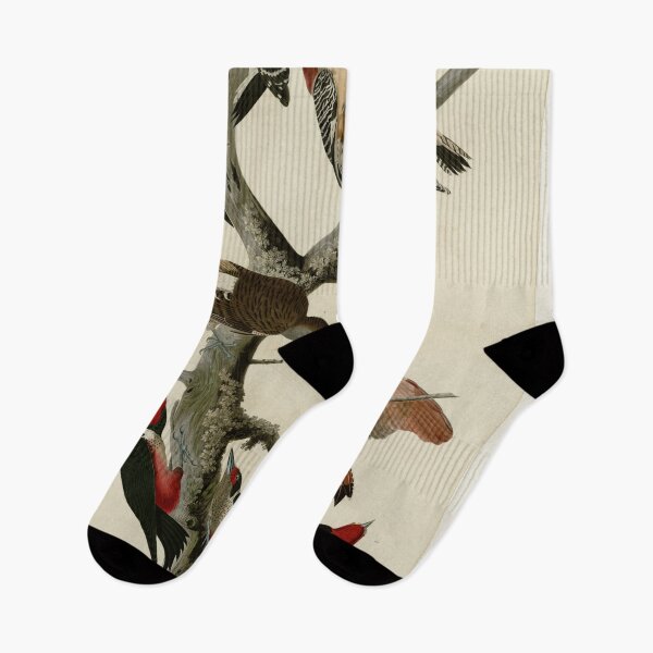 Item preview, 416 I. Hairy Woodpecker 2. Red bellied Woodpecker 3. Red shafted Woodpecker 4. Lewis' Woodpecker 5. Red breasted Woodpecker designed and sold by Bird-Lore.