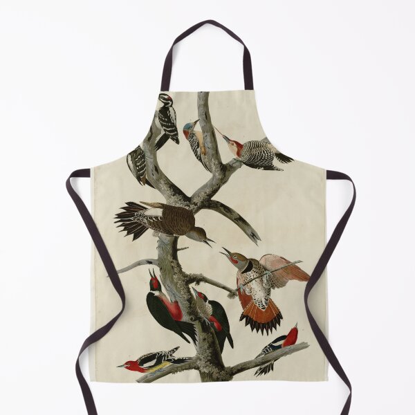 Item preview, 416 I. Hairy Woodpecker 2. Red bellied Woodpecker 3. Red shafted Woodpecker 4. Lewis' Woodpecker 5. Red breasted Woodpecker designed and sold by Bird-Lore.