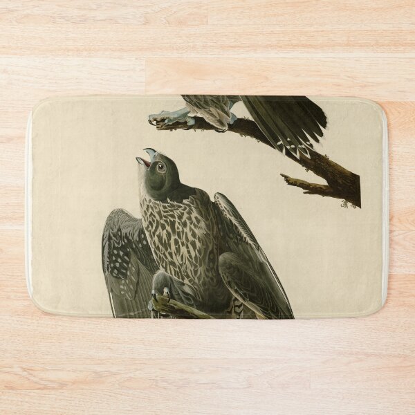Item preview, 196 Labrador Falcon designed and sold by Bird-Lore.