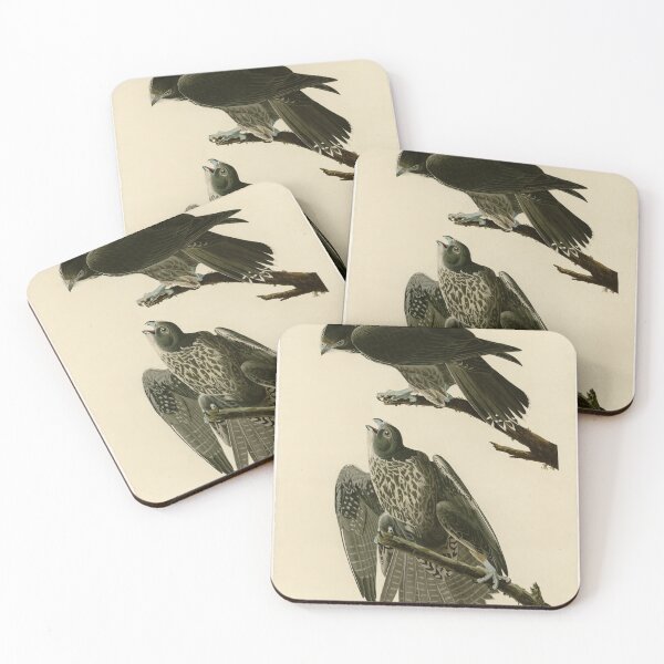 Item preview, 196 Labrador Falcon designed and sold by Bird-Lore.