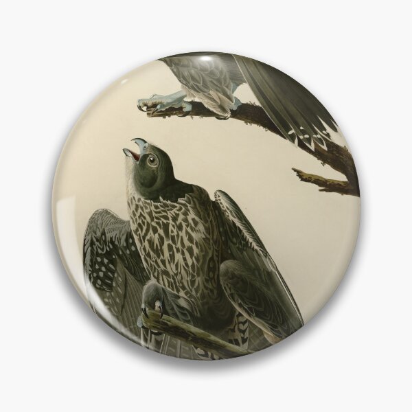 Item preview, 196 Labrador Falcon designed and sold by Bird-Lore.