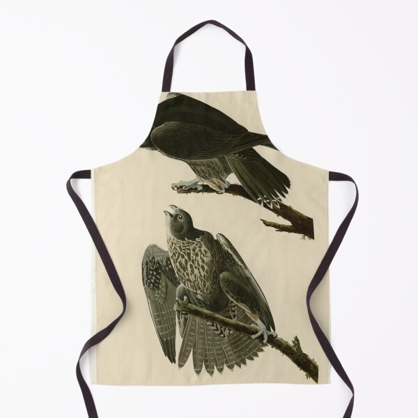 Item preview, 196 Labrador Falcon designed and sold by Bird-Lore.