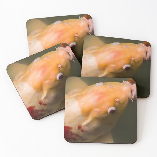 Item preview, Japanese Koi Fish  designed and sold by crimsontreasure.