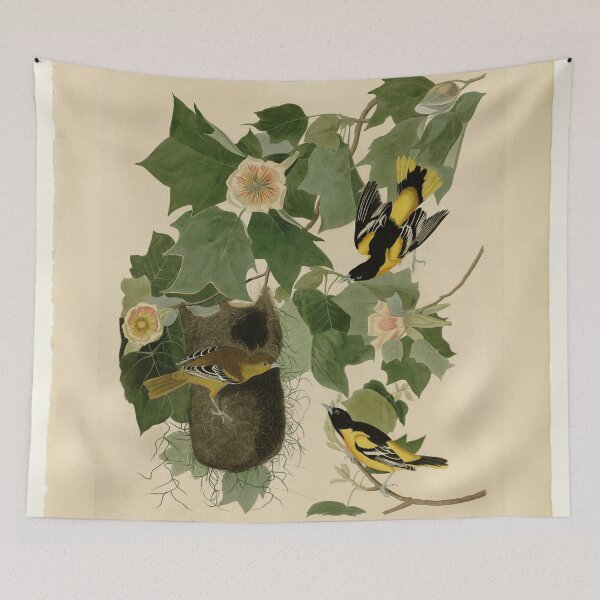 Item preview, 12 Baltimore Oriole designed and sold by Bird-Lore.