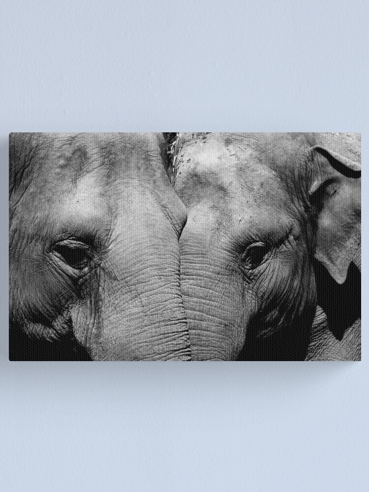 Alternate view of Elephant Mirror Canvas Print