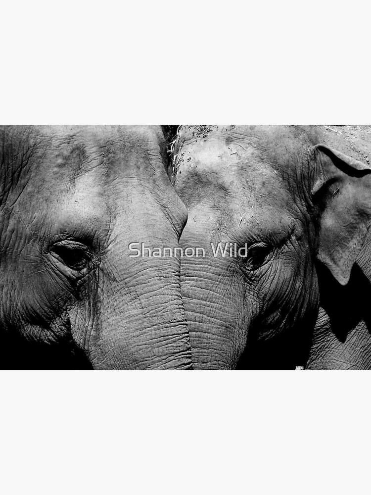 Elephant Mirror by ShannonPlummer