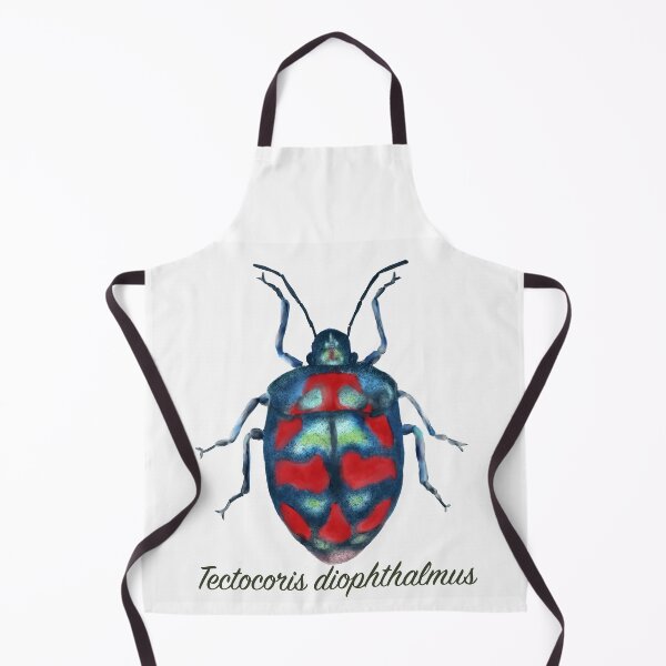 Item preview, Harlequin Bug Specimen designed and sold by JillyBeanDesign.