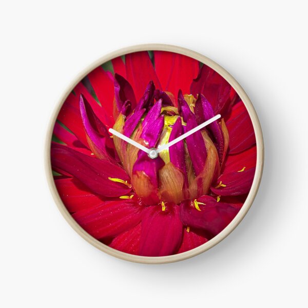 Item preview, Amazing Red and Magenta Pink Petaled Waterlily Dahlia Flower Blossoming with Yellow Anther at the base of the Petals 049 designed and sold by Bees-n-Flowers.