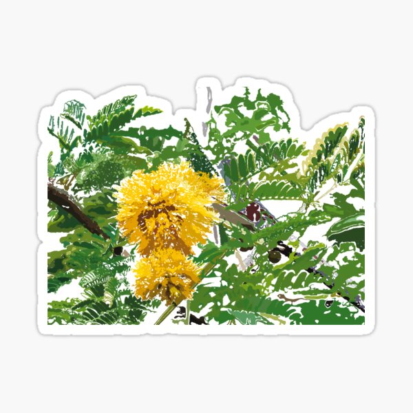Item preview, Acacia farnesiana or Kolū in Hawaiian  designed and sold by NJartbyNJacobson.