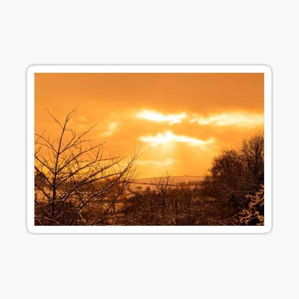 Yellow landscape, sunset and trees Sticker