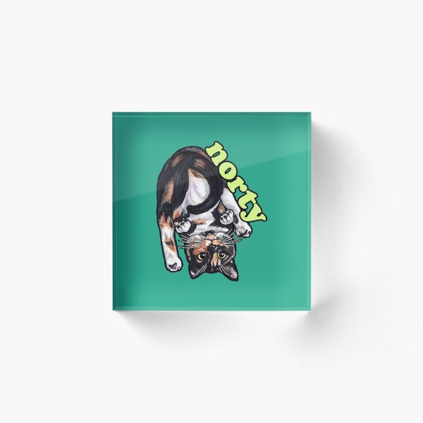 Norty Acrylic Block