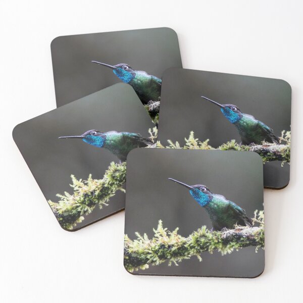 Item preview, Talamanca Hummingbird designed and sold by RobynCarter.