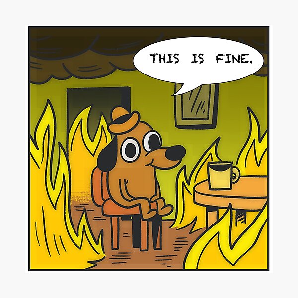 Cute Dog Photographic Prints Redbubble