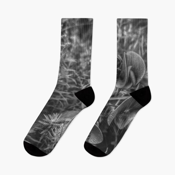 Item preview, Cow Pea in B&W designed and sold by giftoftradition.