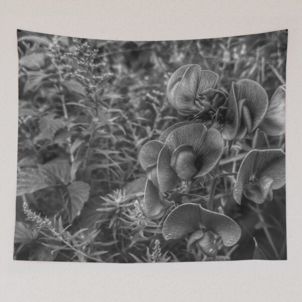 Item preview, Cow Pea in B&W designed and sold by giftoftradition.