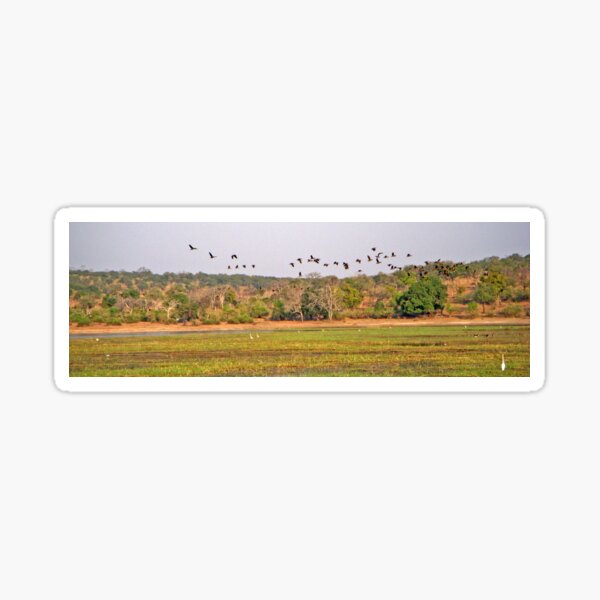 Vista previa del artículo con la obra «Vuelo de las aves, Parque Nacional de Chobe, Botswana, África (panorama)», diseñado y vendido por Margaret  Hyde.