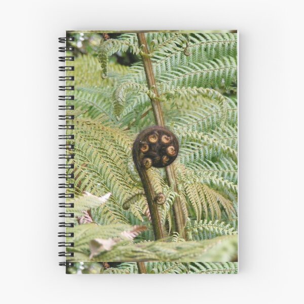 Item preview, Silver Fern Ponga Unfurling Frond Green Leaf Brown Koru designed and sold by Hanlar.