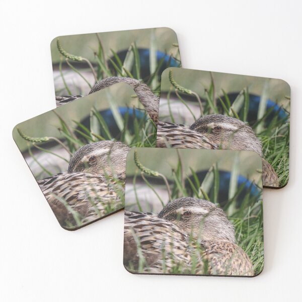 Item preview, Let sleeping ducks lie designed and sold by GreyFeatherPhot.