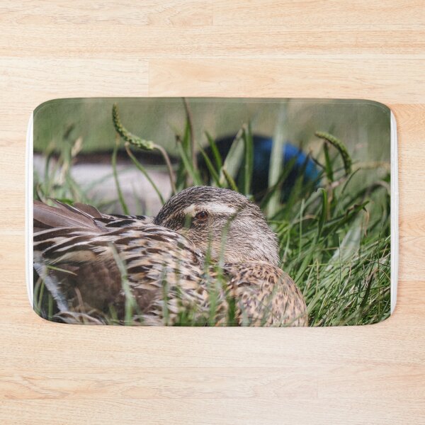 Item preview, Let sleeping ducks lie designed and sold by GreyFeatherPhot.