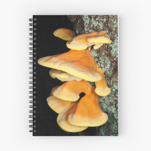 Item preview, Chicken of the woods mushrooms designed and sold by SDym Photography.