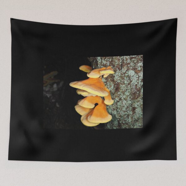 Item preview, Chicken of the woods mushrooms designed and sold by SDym Photography.