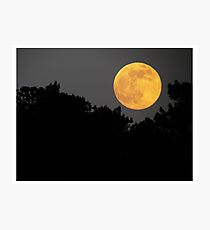 Dark Sacred Night Photographic Print