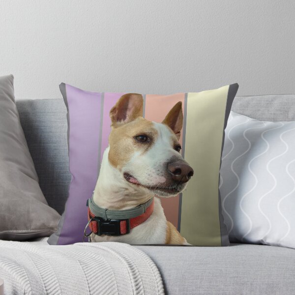 Artikelvorschau, Flashie in Farbe entworfen und verkauft von Jack Russell Rescue Australia.