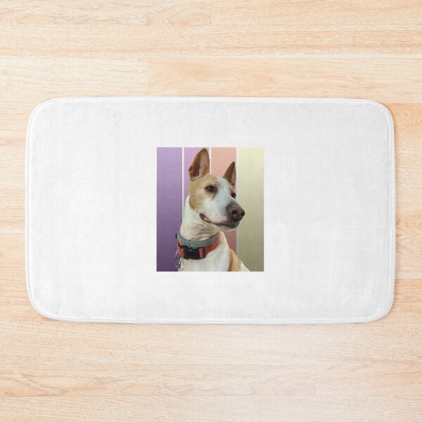 Item preview, Flashie in Colour designed and sold by Jack Russell Rescue Australia.