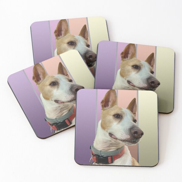 Item preview, Flashie in Colour designed and sold by Jack Russell Rescue Australia.