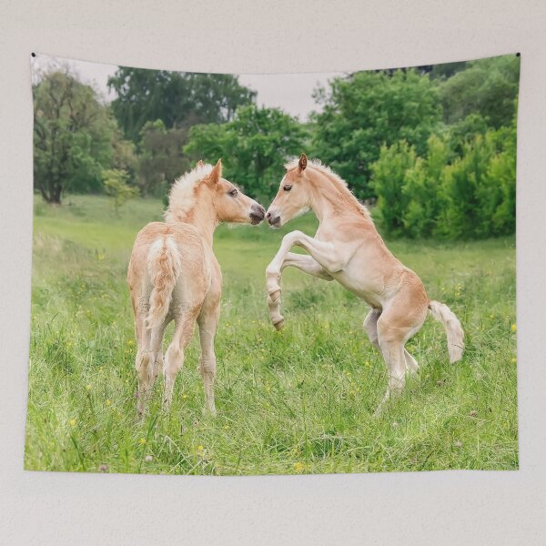 Item preview, Funny Haflinger foals playing and rearing designed and sold by Katho Menden.