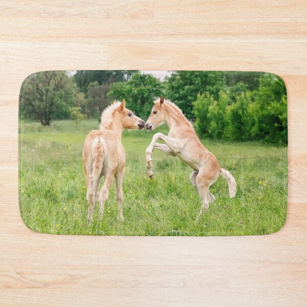 Item preview, Funny Haflinger foals playing and rearing designed and sold by Katho Menden.