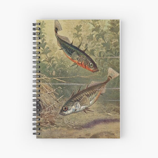 Item preview, Stickleback ish illustration by Heinrich Harder designed and sold by Vintage Designs +.