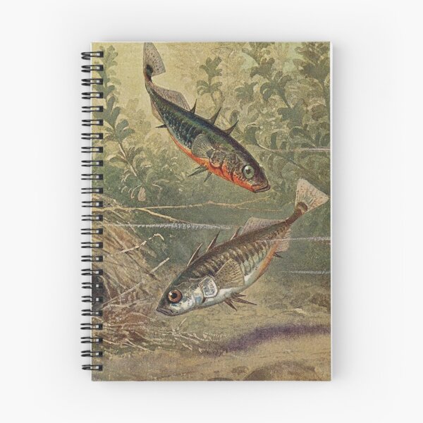 Item preview, Stickleback ish illustration by Heinrich Harder designed and sold by Vintage Designs +.