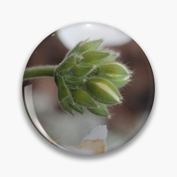 Item preview, White Geranium, study 3 designed and sold by Geoff Treagus.