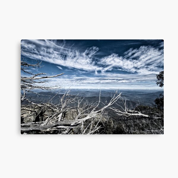 Item preview, Bleak designed and sold by Sandra Johnston.