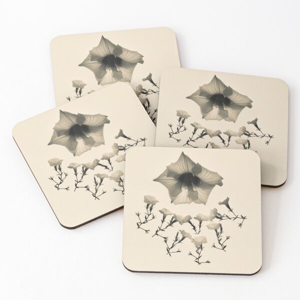 Item preview, Civita Botanical designed and sold by MazGhani.