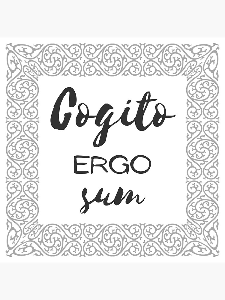 Cogito Ergo Sum Poster By Fedoradesign Redbubble