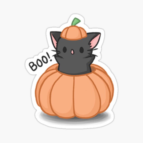 cat pumpkin cute