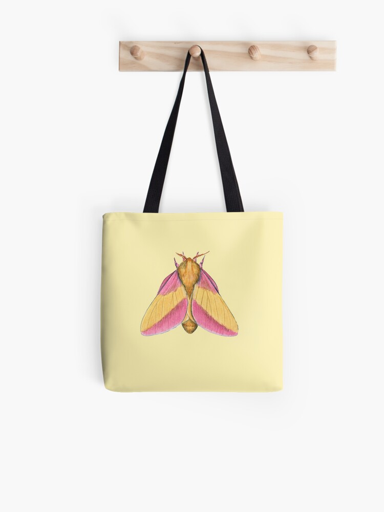 Rosy Maple Moth Art Print by Jada Fitch