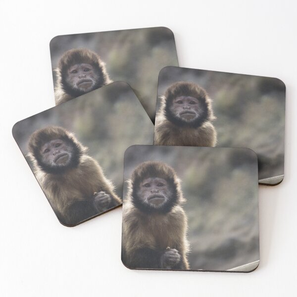 Item preview, Inquisitive Monkey designed and sold by CClarkePhotos.