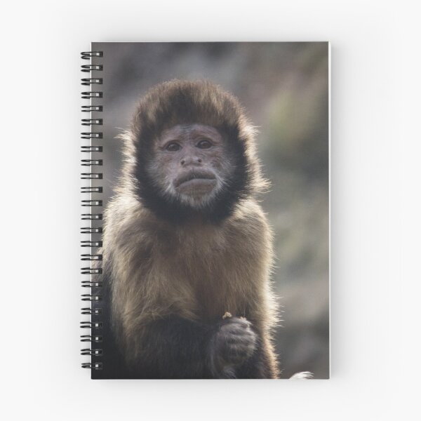 Item preview, Inquisitive Monkey designed and sold by CClarkePhotos.