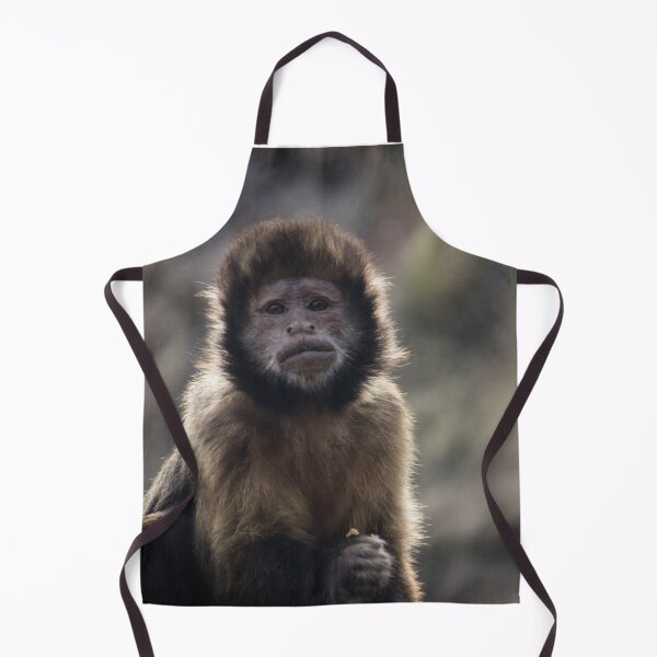 Item preview, Inquisitive Monkey designed and sold by CClarkePhotos.