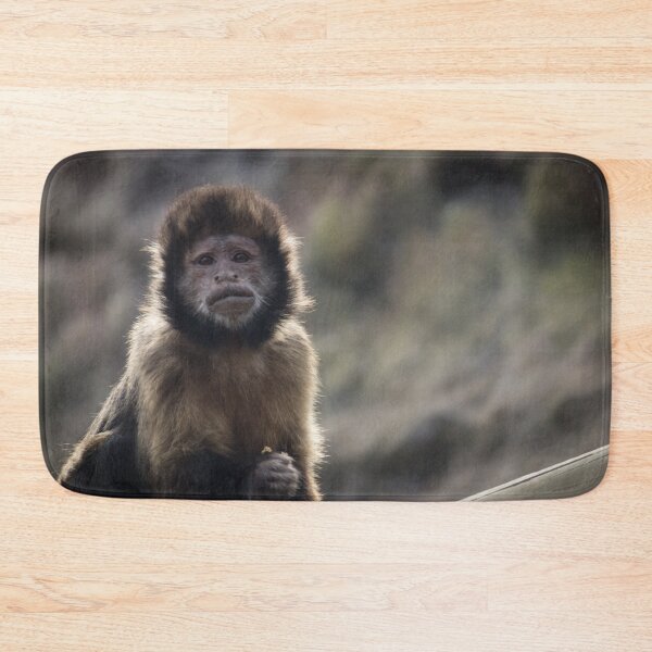 Item preview, Inquisitive Monkey designed and sold by CClarkePhotos.