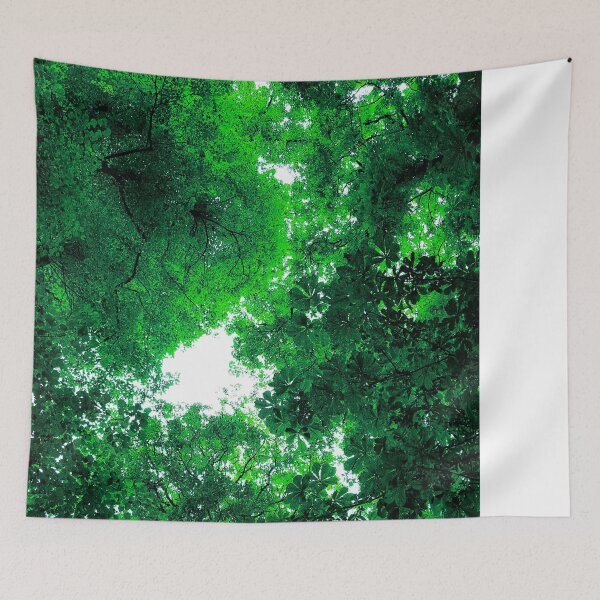 Item preview, Head Into the light, Forest canopy. designed and sold by CClarkePhotos.