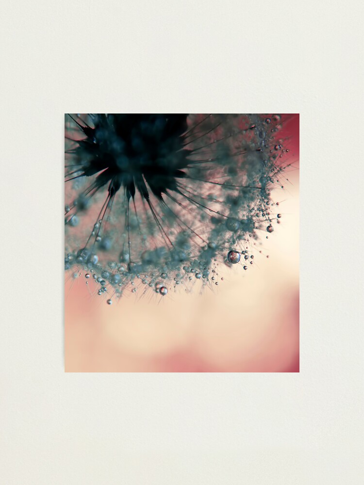 Alternate view of droplets of dusty blue Photographic Print