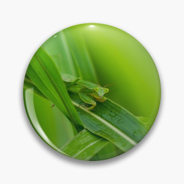 Item preview, Smiling Praying Mantis designed and sold by mljdwhite.